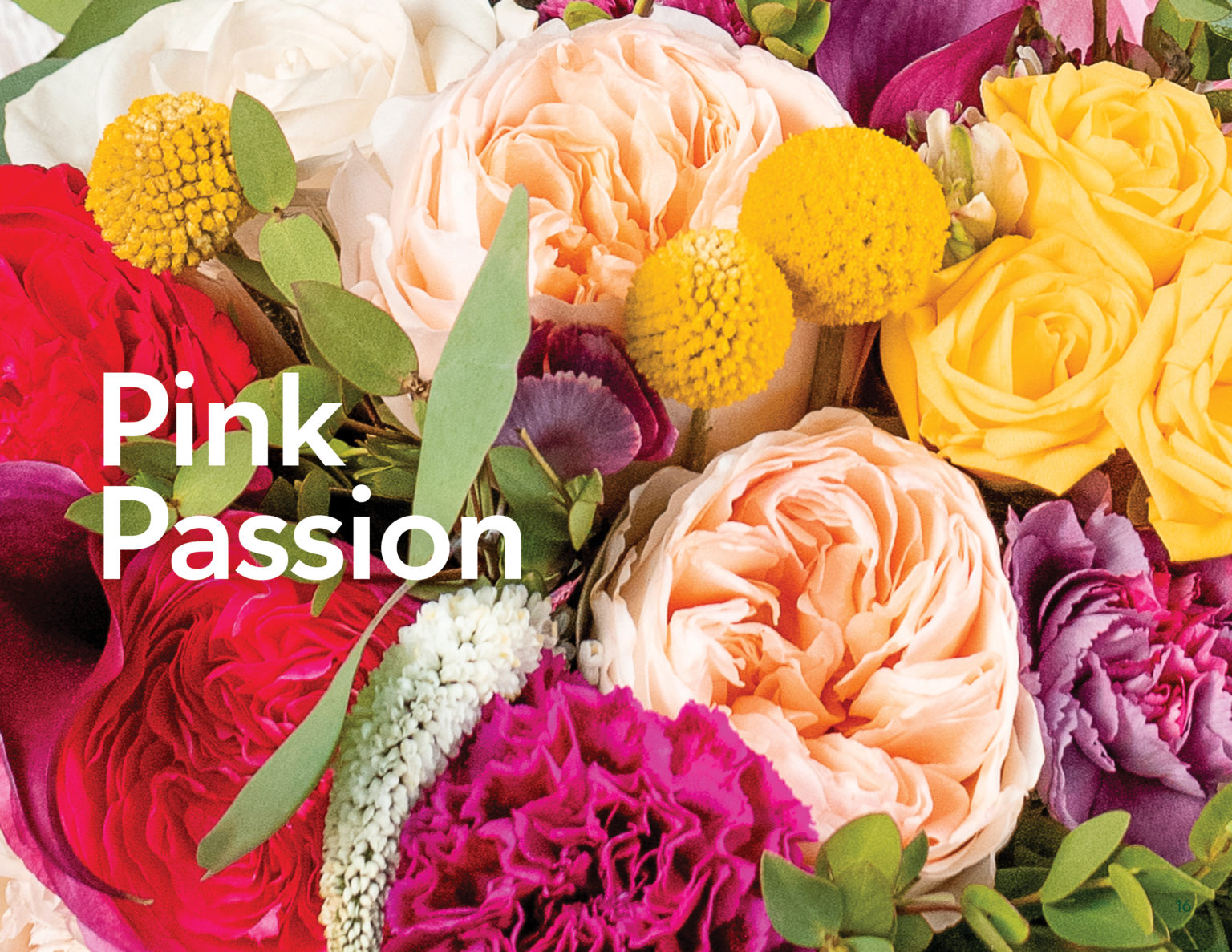 Floral brochure